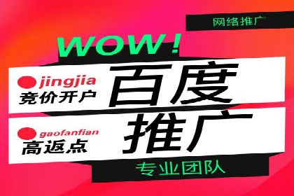 百度推广中的数据监控与优化：案例分享与经验总结